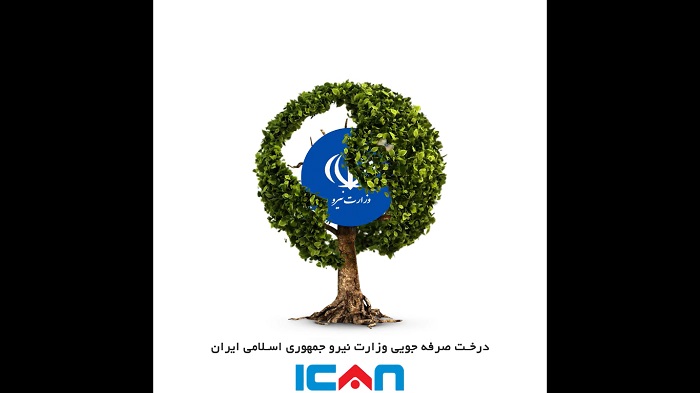 درخت صرفه جویی شهرداری همدان